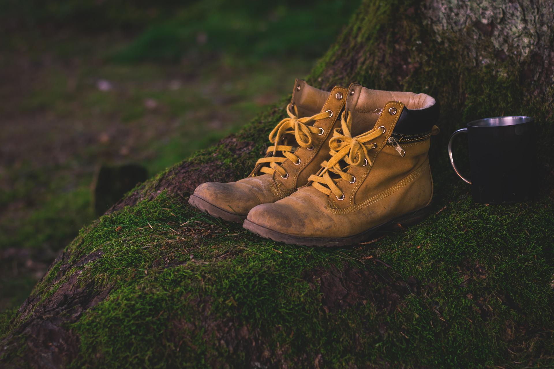 Trekking shoes hiking boots trek pole