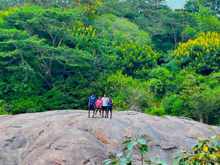 jalagamparai waterfalls trek in yelagiri - 8km trek located in tirupattur district of tamilnadu