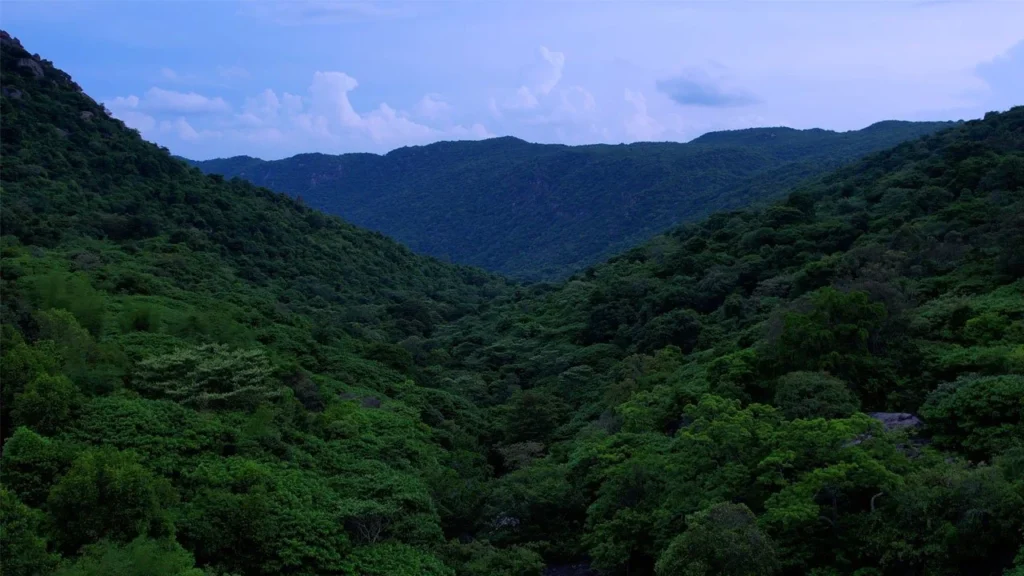 Scenic forest valley view on the Jalagambarai Trek in Yelagiri