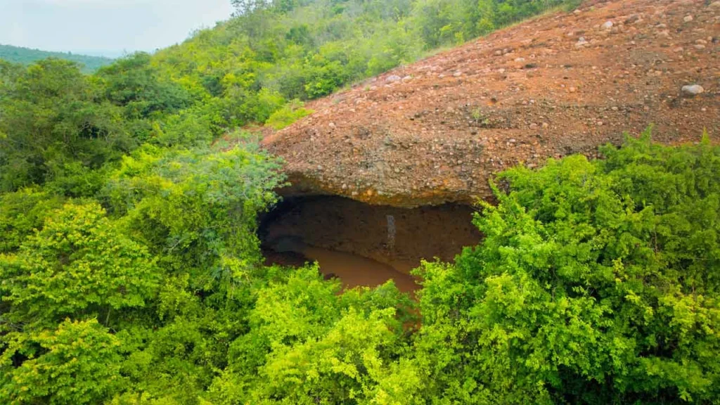 Large rocky cave opening surrounded by dense green forest at Gudiyam Caves