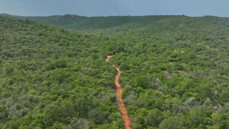 Narrow reddish dirt trail winding through dense green hills near Gudiyam Caves.