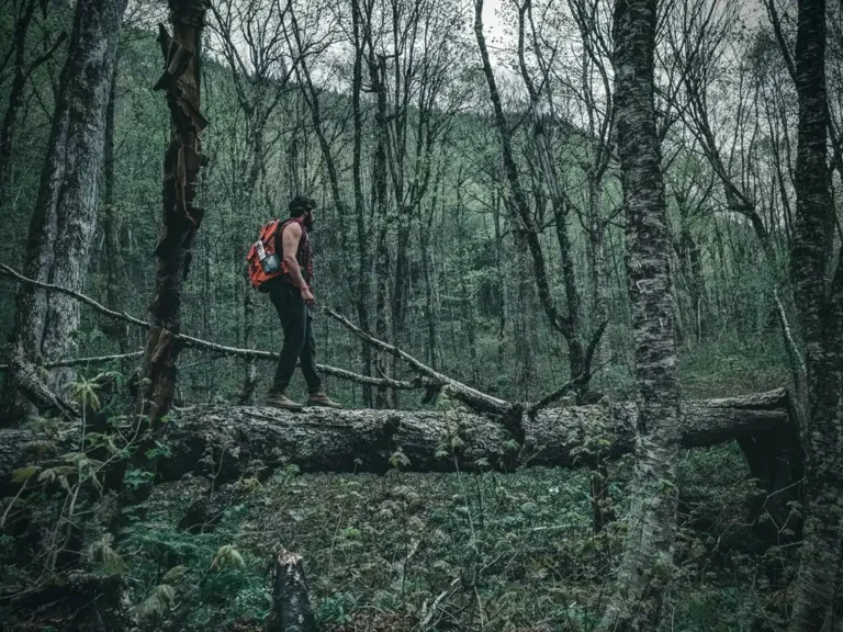 Jungle survival adventure experience in yelagiri forest a man trekking inside the forest