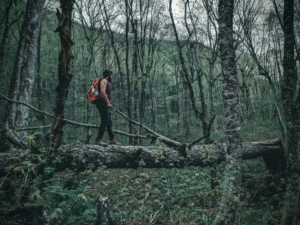 Jungle survival adventure experience in yelagiri forest a man trekking inside the forest